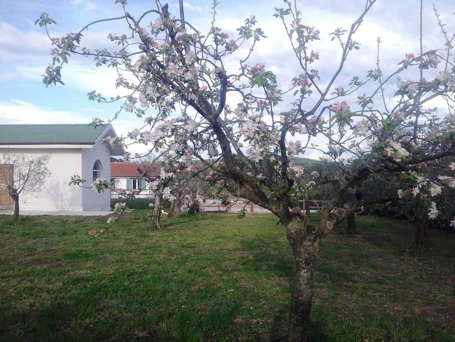 Gli Olivi Bed & Breakfast Формело Екстериор снимка